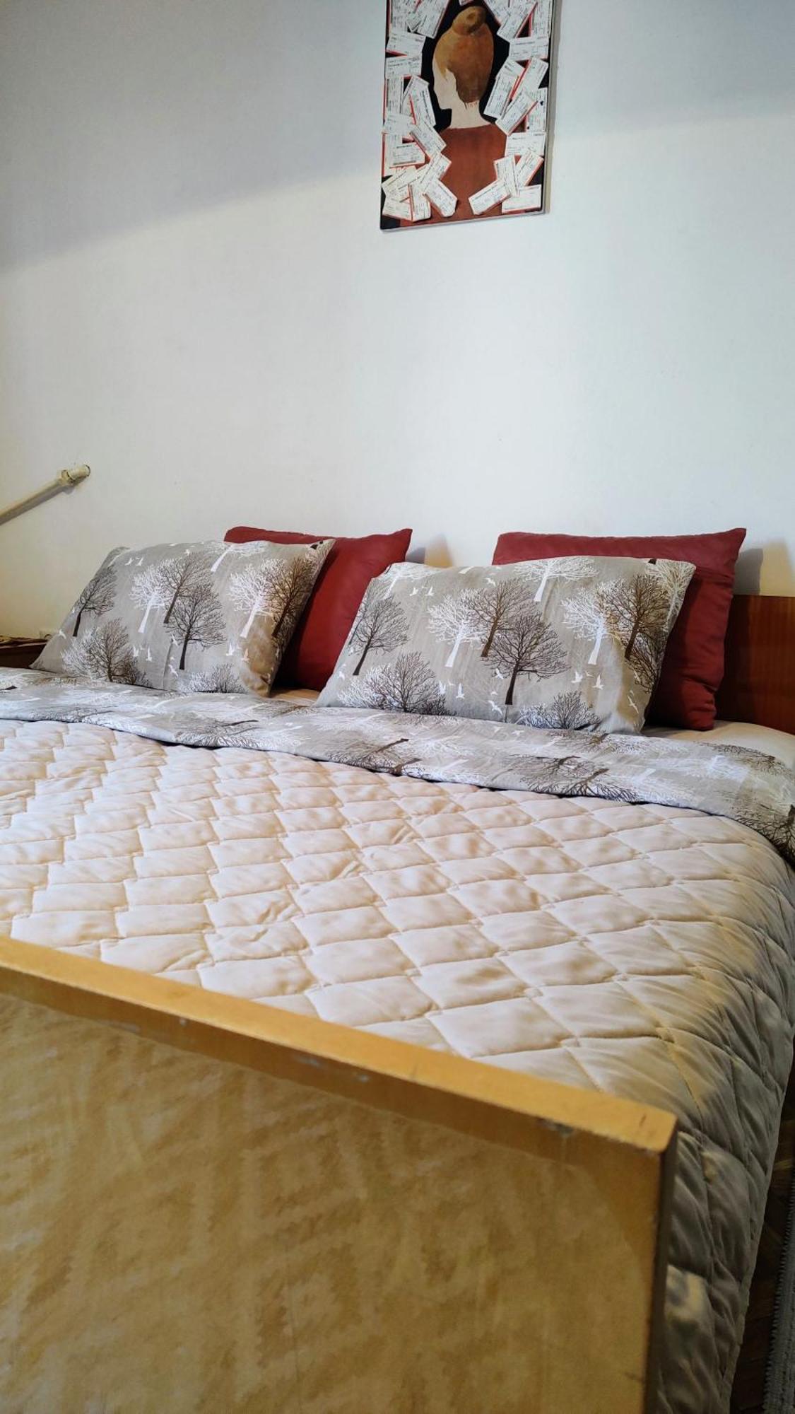 Digital Nomad Comfy Apartment,Foot Mountain Vodno And Millennium Cross,19 Min By Walk To Cener,Free Parking Üsküp Dış mekan fotoğraf